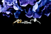 Diamantringe